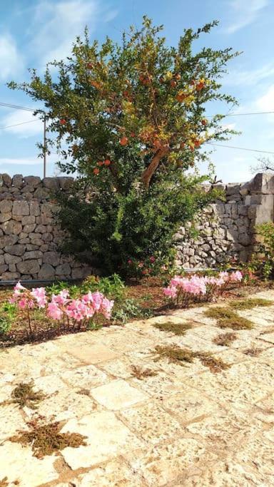 Trullo Mami Villa Putignano Luaran gambar