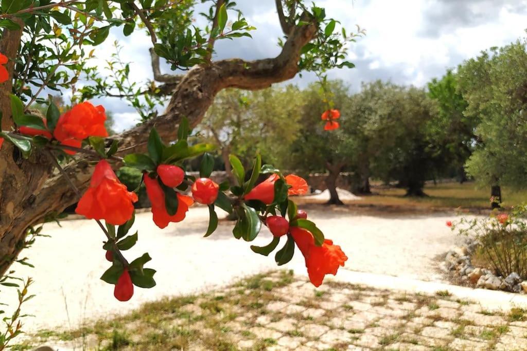Trullo Mami Villa Putignano Luaran gambar